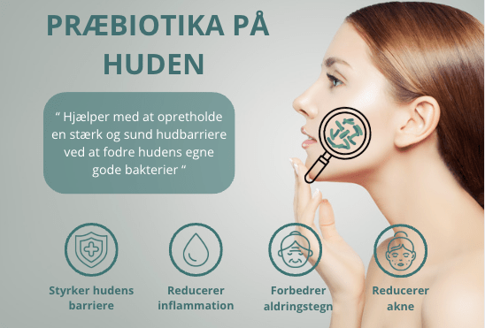 Præbiotika og dens gavnlige virkning på din hud ved hjælp af BioB produkter - BioB