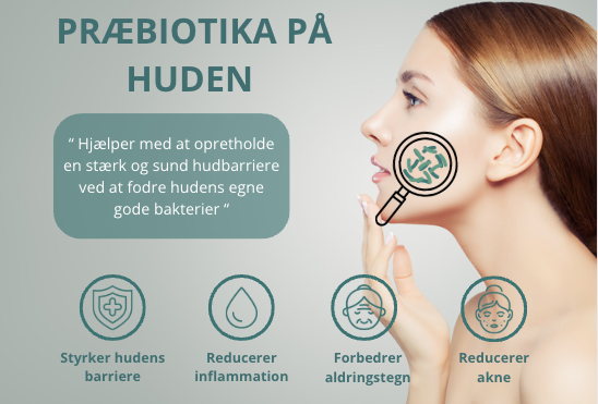 Præbiotika og dens gavnlige virkning på din hud ved hjælp af BioB produkter